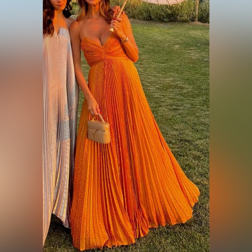 Alexis Plisse Gown/ Maxi Dress
